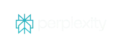 Perplexity